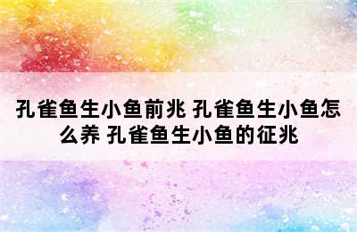 孔雀鱼生小鱼前兆 孔雀鱼生小鱼怎么养 孔雀鱼生小鱼的征兆